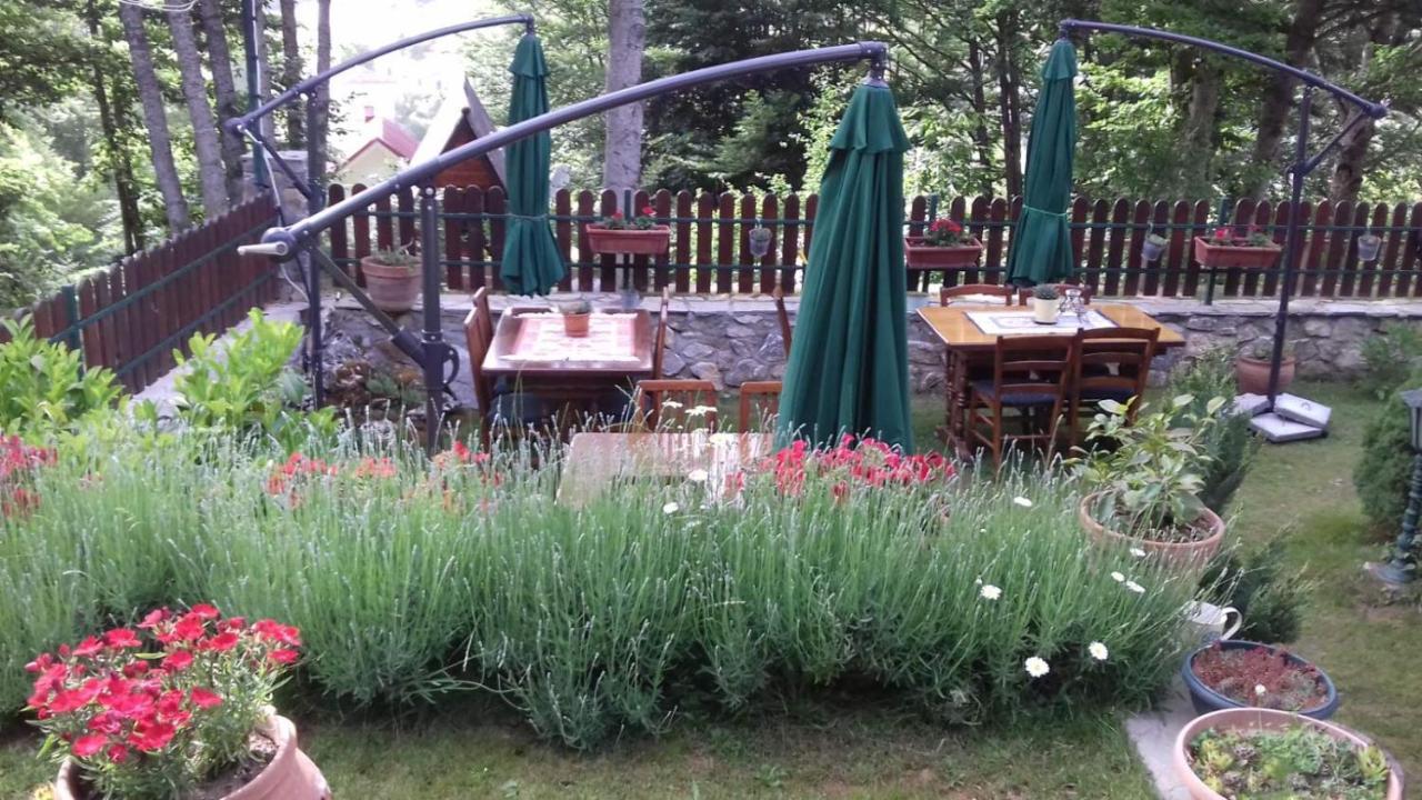 Restaurant And Apartments - T'Ga Za Jug Lazaropole Dış mekan fotoğraf